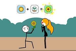 Resolve puzzles relaxantes com magia de alquimia!
