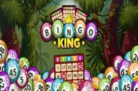 Bingo King