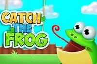 Catch the Frog