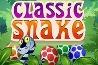 ZigZag Snake 🕹️ Jogue ZigZag Snake Grátis no Jogos123