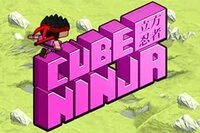 Cube Ninja