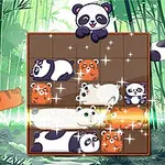 Os pandas fofinhos estão aqui para roubar seu coração!