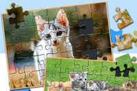 jogos para gatos - Compre jogos para gatos com envio grátis no