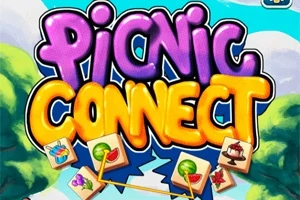 Picnic Connect