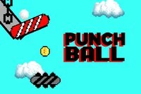 Punch Ball