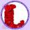 lucilasn